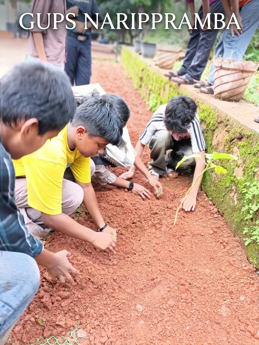 GUPS NARIPARAMBA